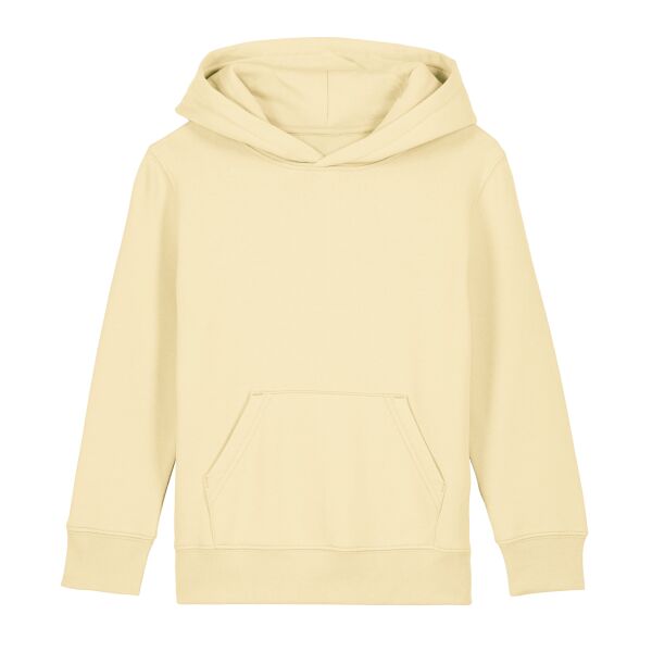 Kids Mini Cruiser 2.0 iconic hoodie sweatshirt (STSK180) Thumbnail